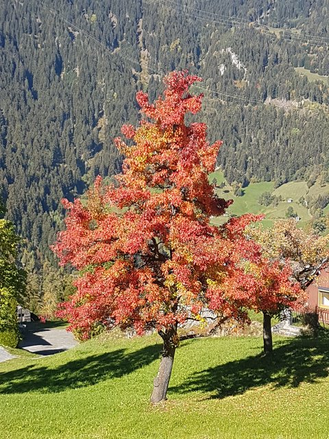 So schön ist der Herbst in Tobadill