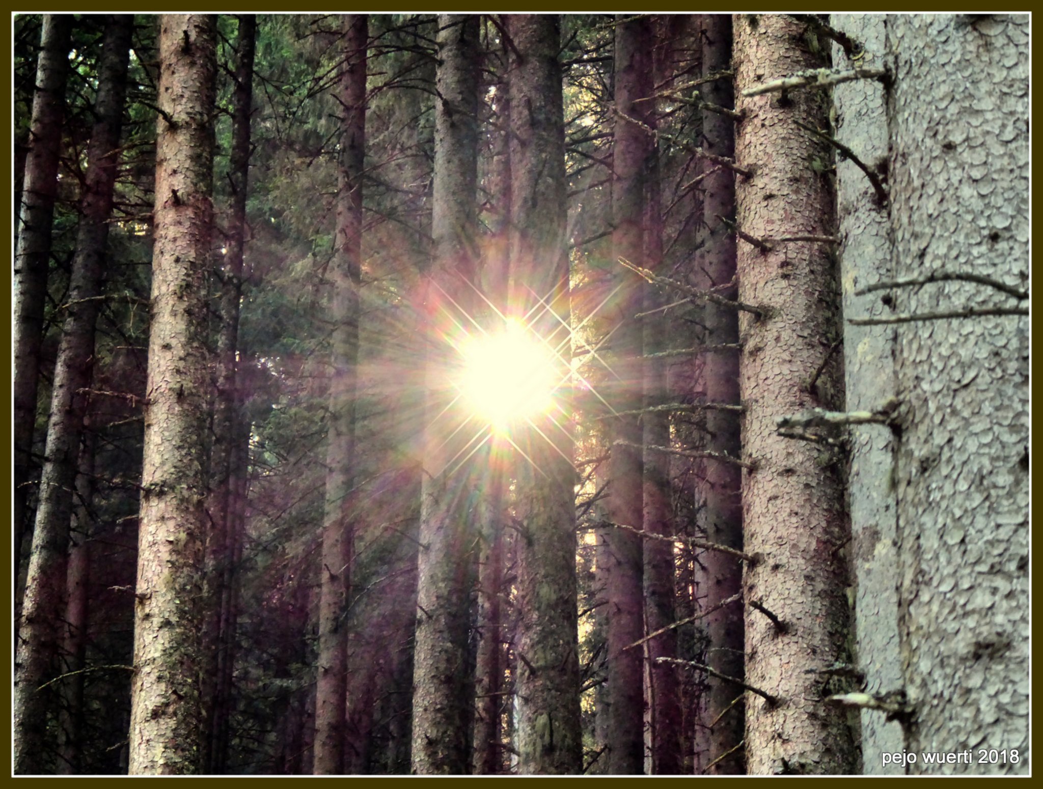 Ein Sonnenstrahl genügt und landet wie ein Lächeln bis ins Herz