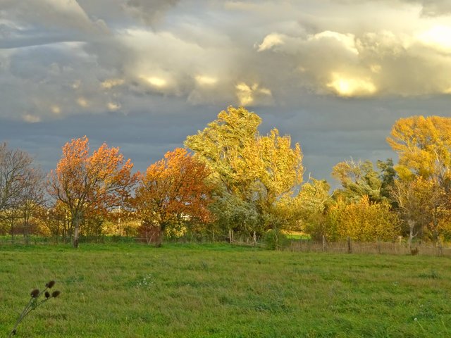 Wolkenstimmung