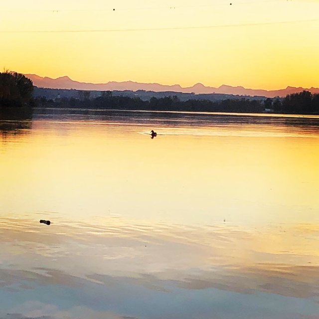 Foto: Lukas Elsener