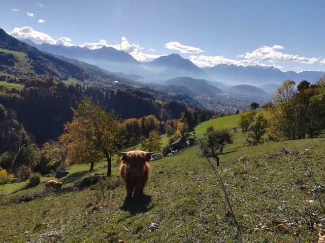 Goldener Herbst im Ländle
