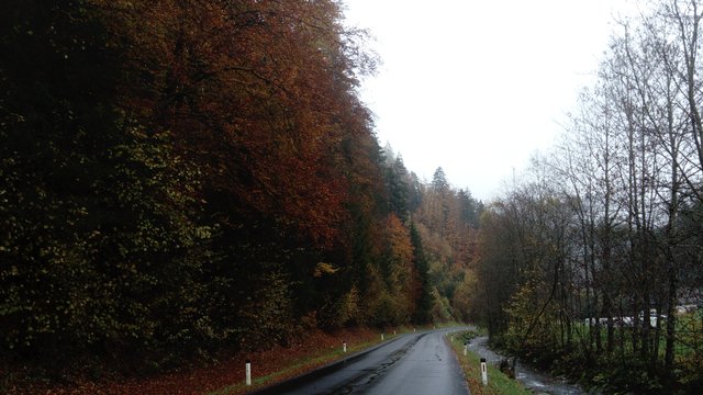 So ein schönes Herbstkleid. 
