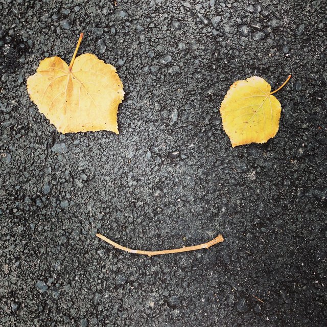 Herbst in Grieskirchen | Foto: Lukas Elsener