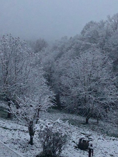 Es hat geschneit!