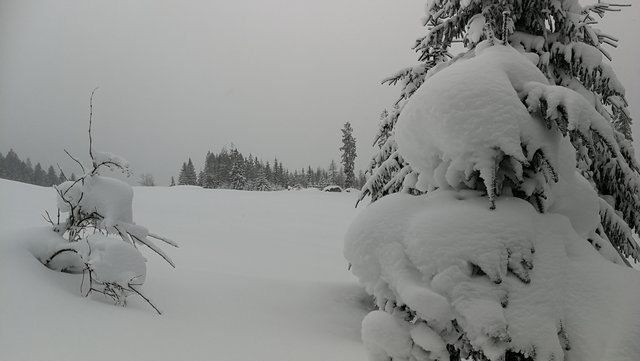 Schneeschuhwanderung 