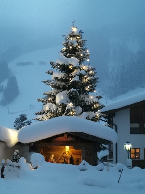 Winterstimmung | Foto: T.L.