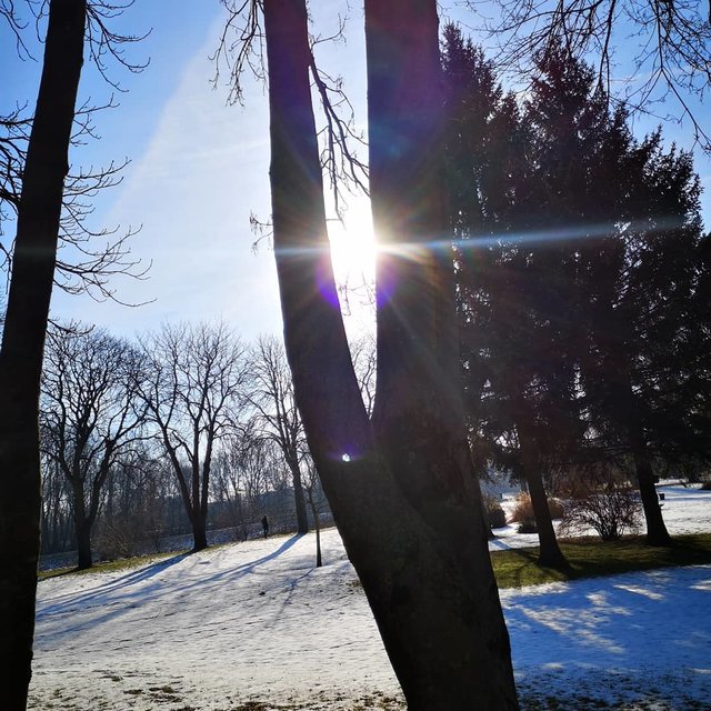 Trotz der Kälte und dem immer wieder kehrenden Schnee, kämpft sich die Sonne fleißig durch die Wolkendecke.