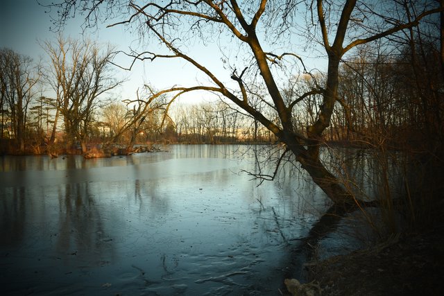 Akademiepark, Pionierteich, 5. Februar 2019.