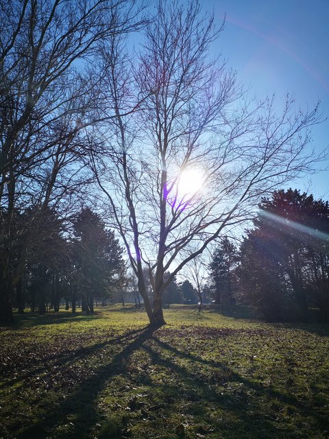 Auch heute ließ sich die Sonne mal wieder blicken. Ob der Winter sich nun endlich dem Ende zuneigt?