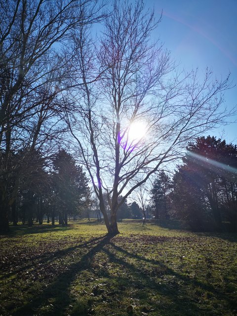 Auch heute ließ sich die Sonne mal wieder blicken. Ob der Winter sich nun endlich dem Ende zuneigt?  | Foto: Werilly