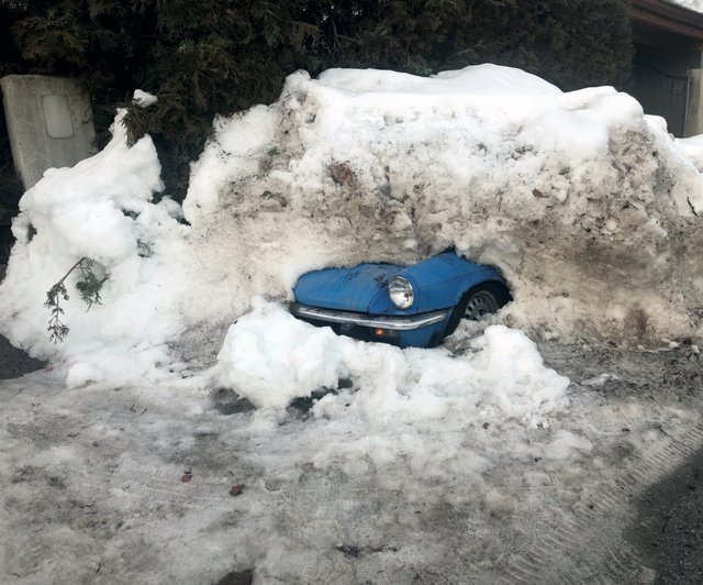 Nach dem schneereichem Winter kommt wieder so einiges zu Tage.