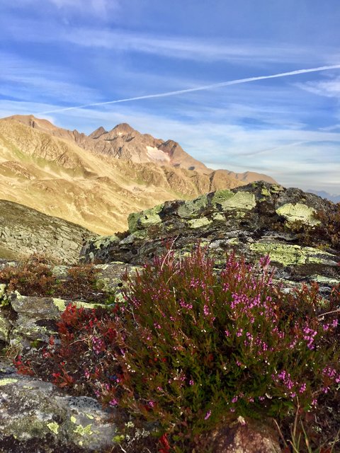Der Frühling macht sich langsam bemerkbar :)