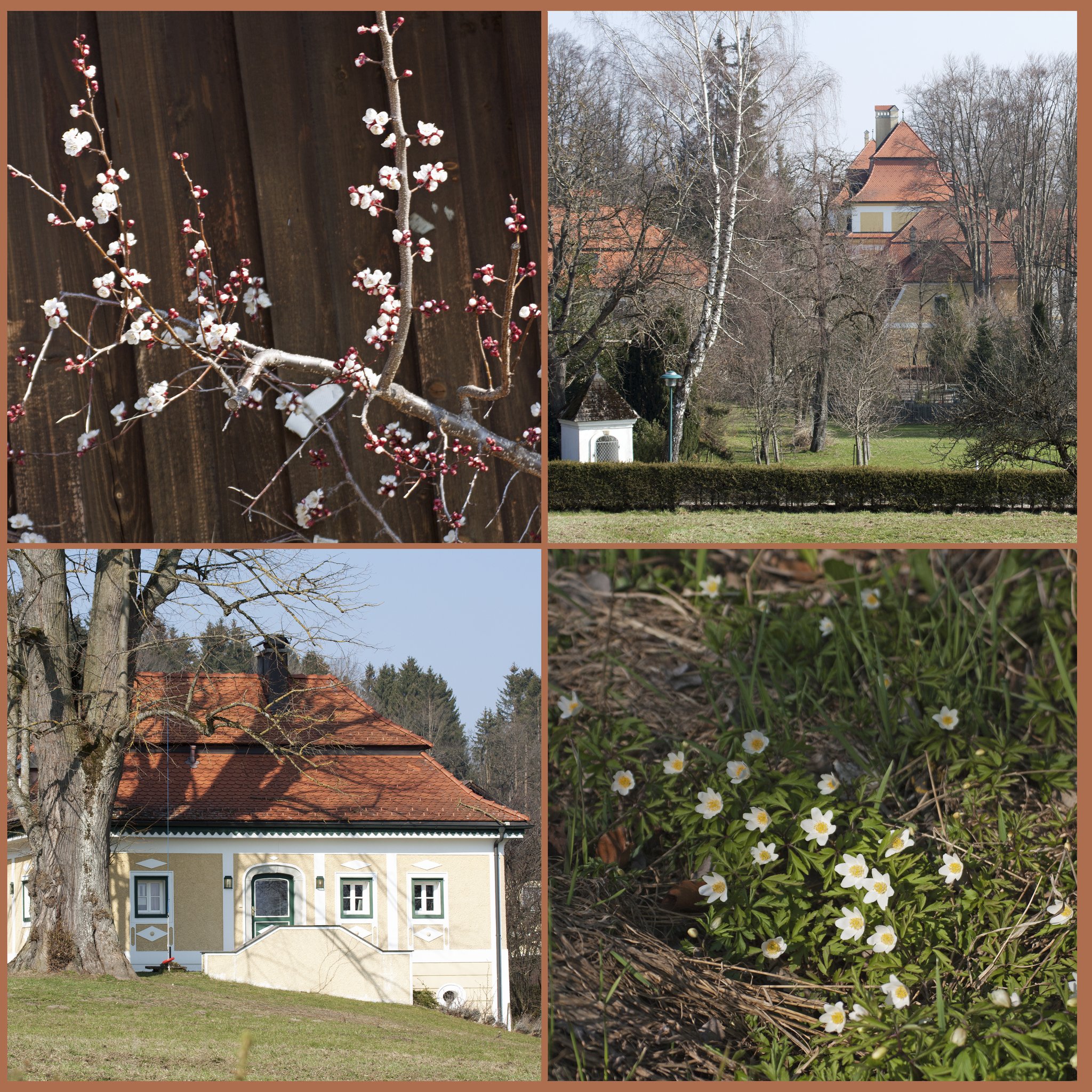 Rund um das Schloss Kogl