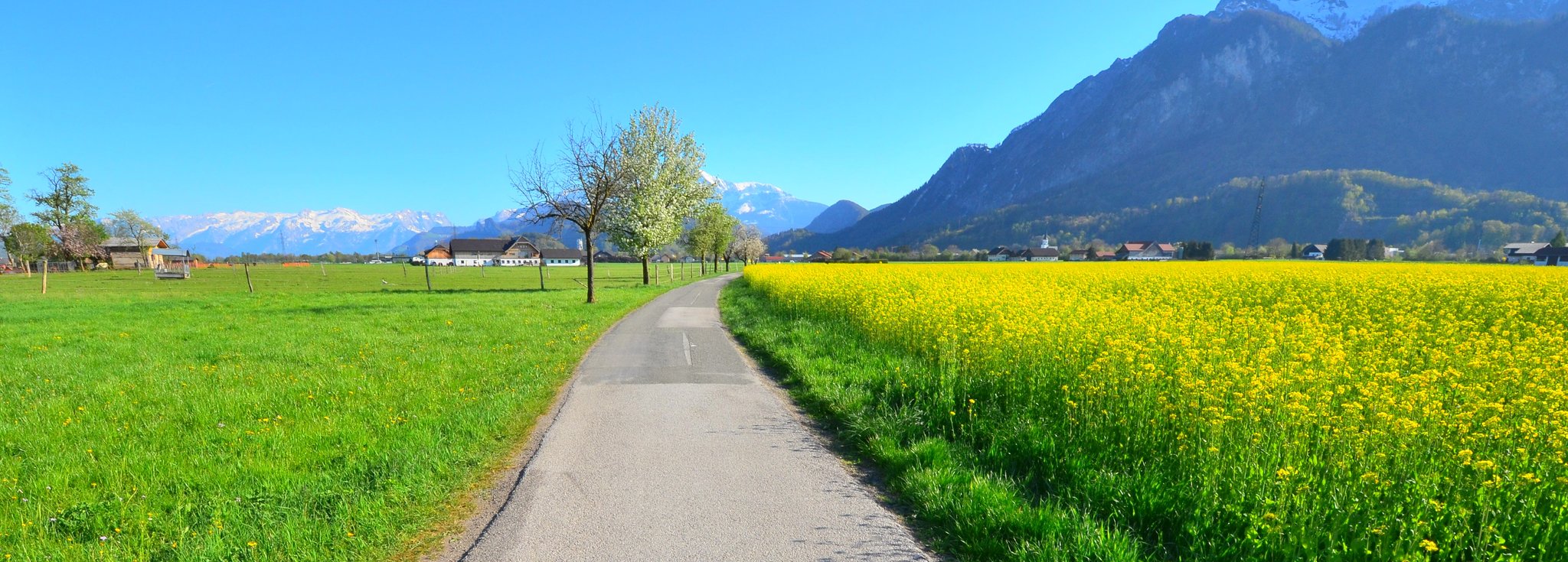 Get Der weg ist das ziel konfuzius Free