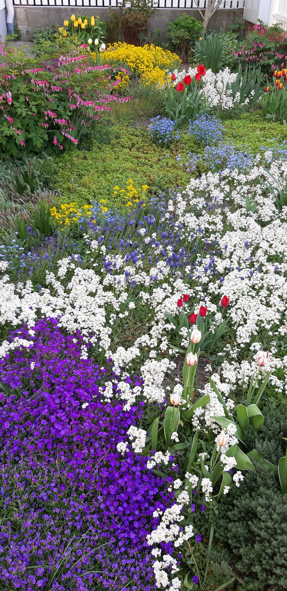 im Frühling