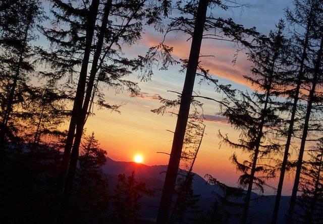 Bei der Abendwanderung von Gigi und mir auf den Maiszinken erlebten wir einen herrlichen Sonnenuntergang.