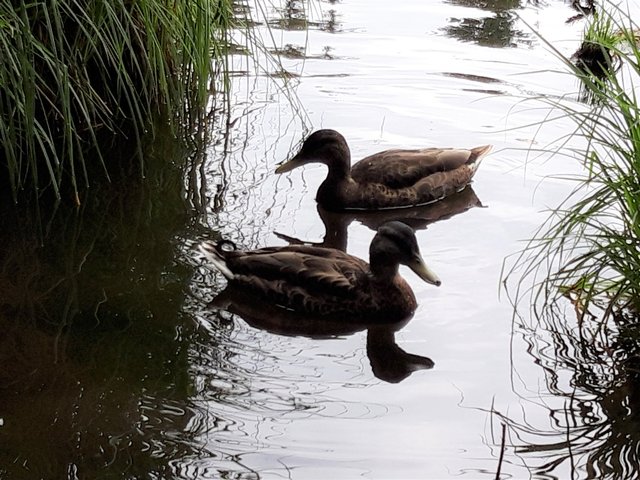 Spieglein, Spieglein.....

