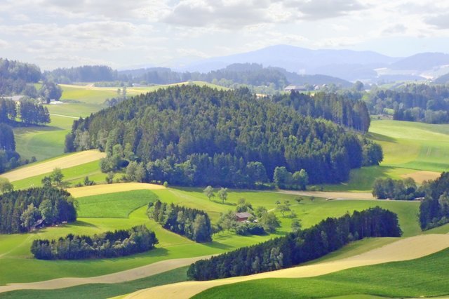 im hügeligen Mühlviertel