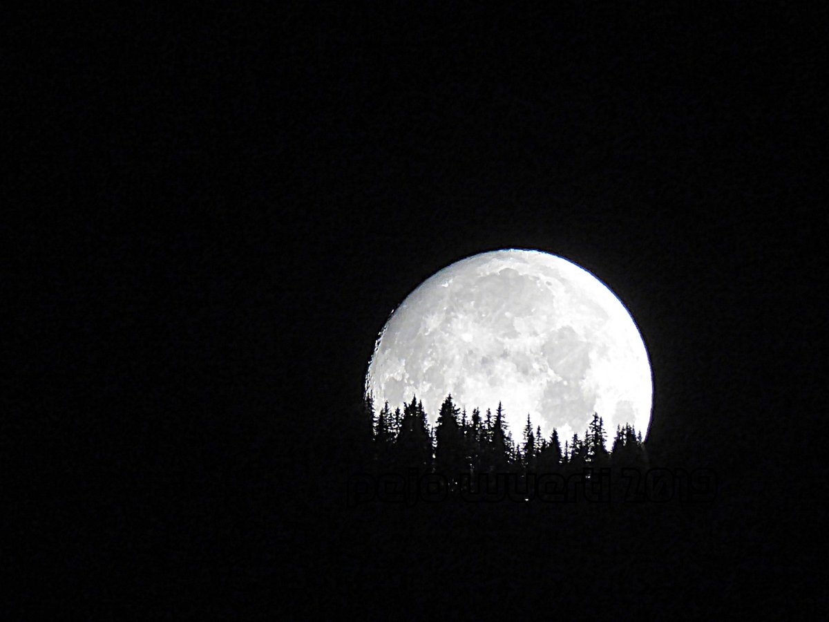 Heute Abend Ist Vollmond Gestern War Waldmond