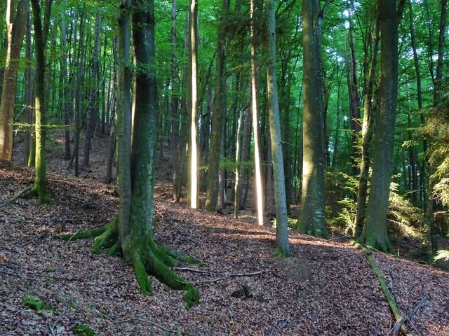 Umweltfreundlichste LED-Beleuchtung