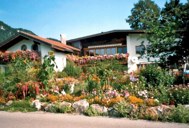 Im Garten von unserer Leserin Sigrid Hummel in Lechaschau blüht es zur Zeit traumhaft.