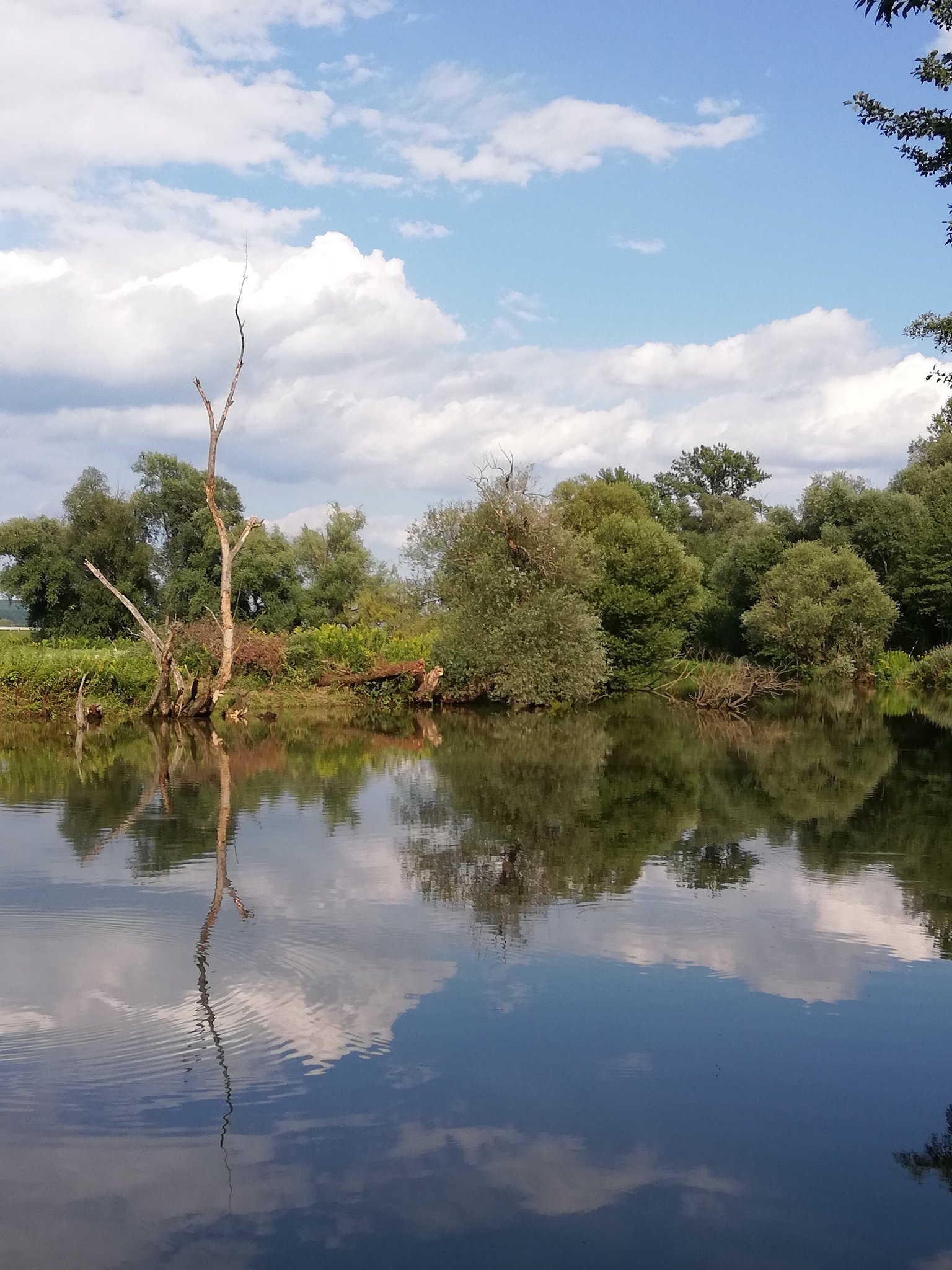 Idyllischer Lieblingsplatz Am Altarm Der Lafnitz In Heiligenkreuz