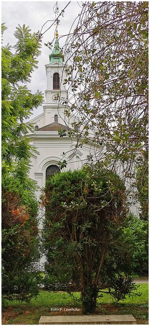 Eine Wanderung quer durch die Bettenhäuser des AKH, vom Gürtel bis zur Spitalgasse.
Näheres darüber ist hier zu lesen und zu sehen.