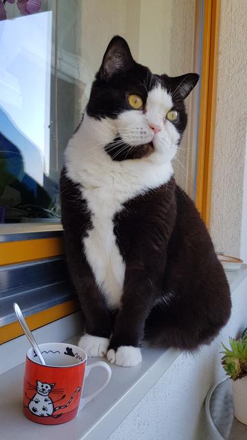 Der Morgenkaffee am Balkon schmeckt besonders gut! 😉 | Foto: Johannes Kreuzer 