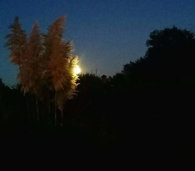 Download Abend geniessen HD Abend Geniessen