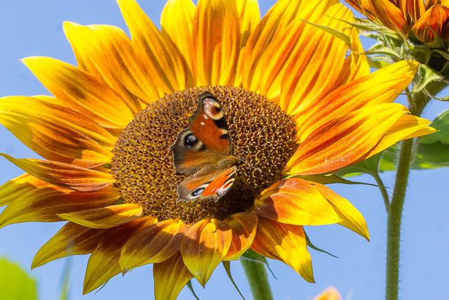 Get Und dann muss man ja auch noch zeit haben For Free