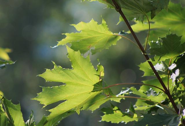 Download Wenn die zeit gekommen ist For Free