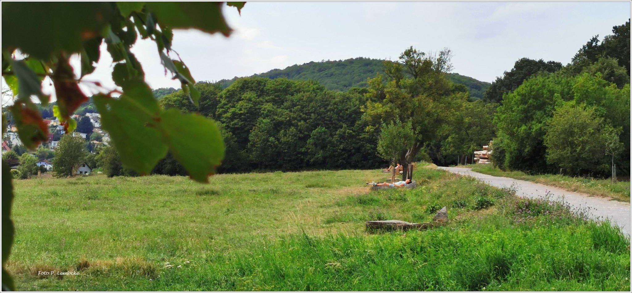 Auf den Steinhofgründen