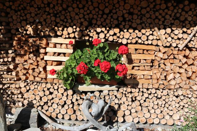 Der Winter kann kommen.... | Foto: T.L. Wildschönau