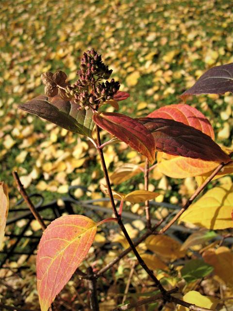 Im Oktober 2019