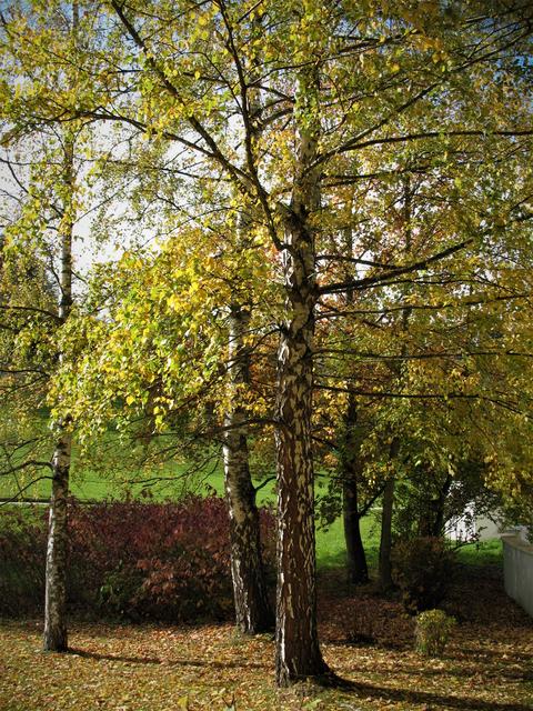 Oktober 2019