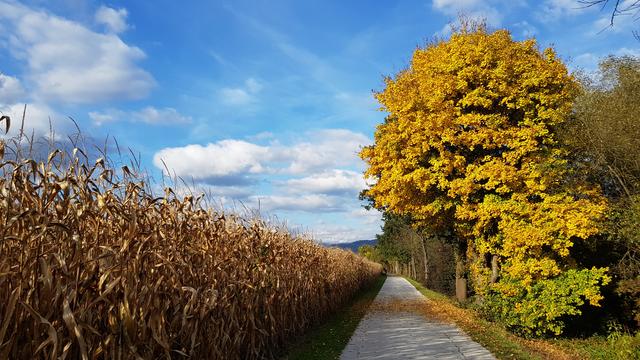 Entlang des Lavantradweges kann man jetzt die Herbstlandschaft besonders genießen.  | Foto: Johannes Kreuzer 