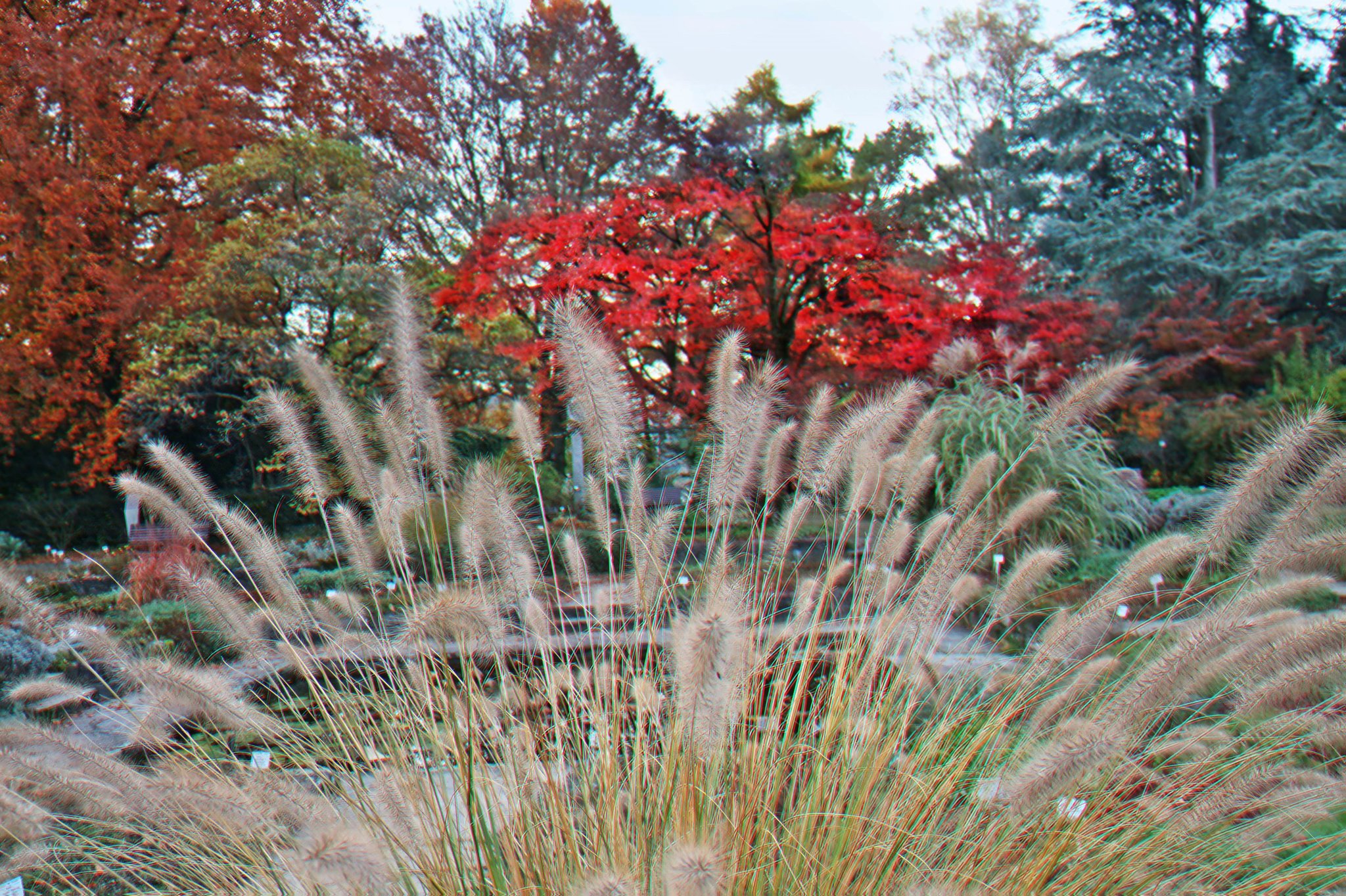 Farbpalette der Natur