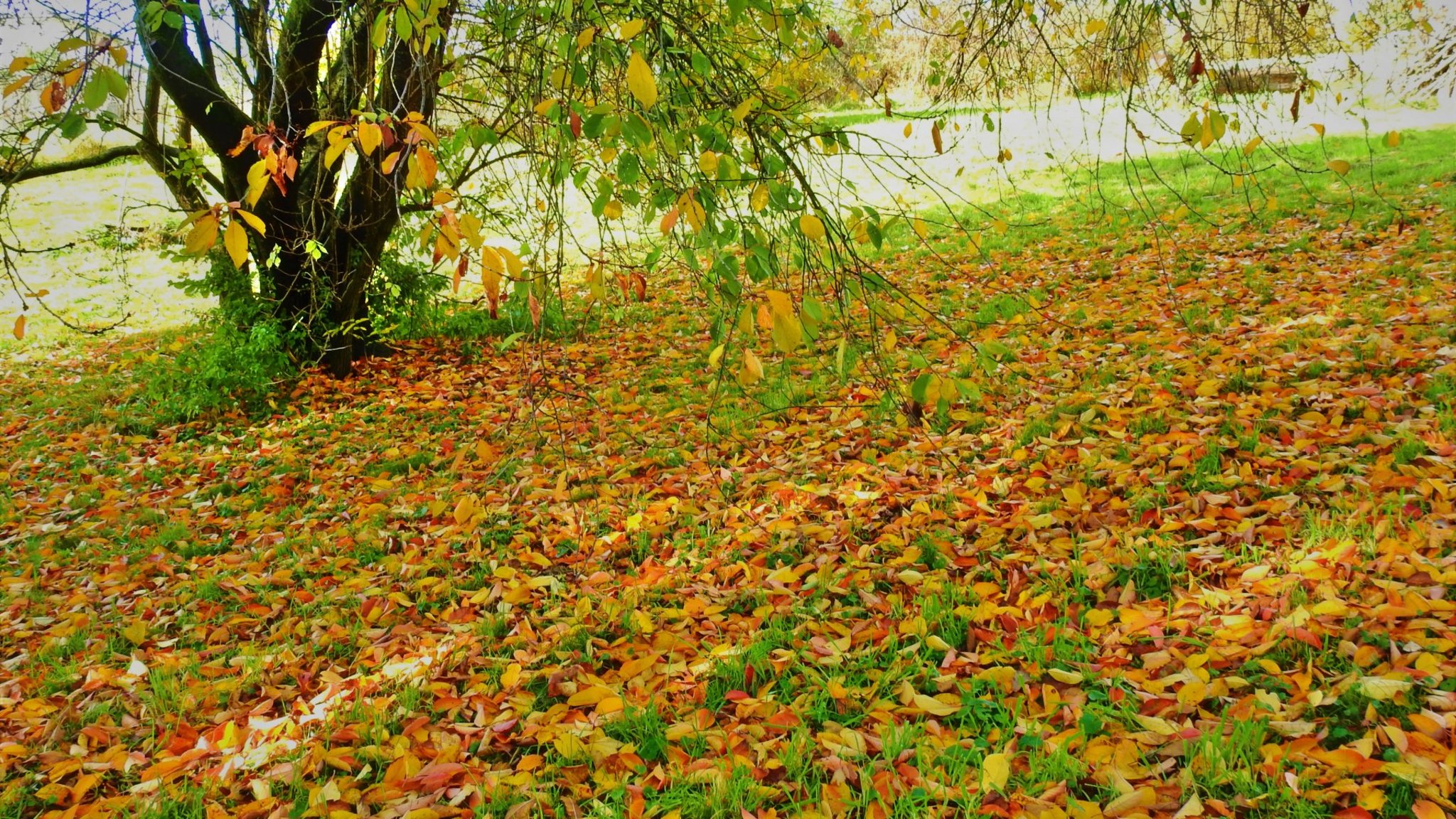 Ein sehr schönen Bodenbelag...oder