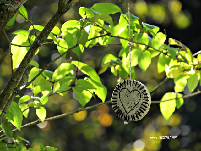 Download Liebe sind worte und taten HD