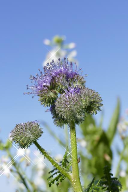 Foto: Schrödl Gerhard
