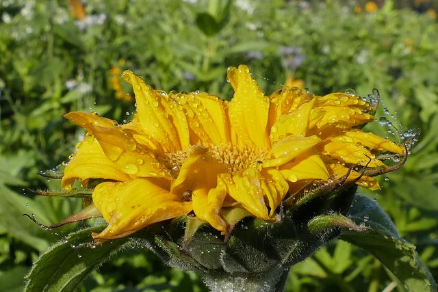 Herbstliche Stimmung | Foto: Schrödl Gerhard