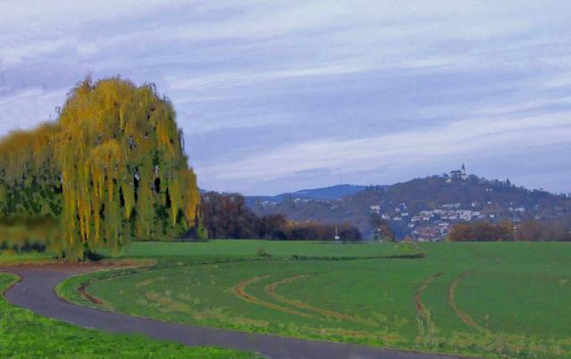 Blick von Leonding zum Pöstlingberg