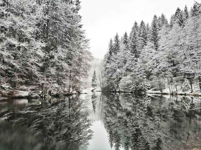 Winter Wonderland