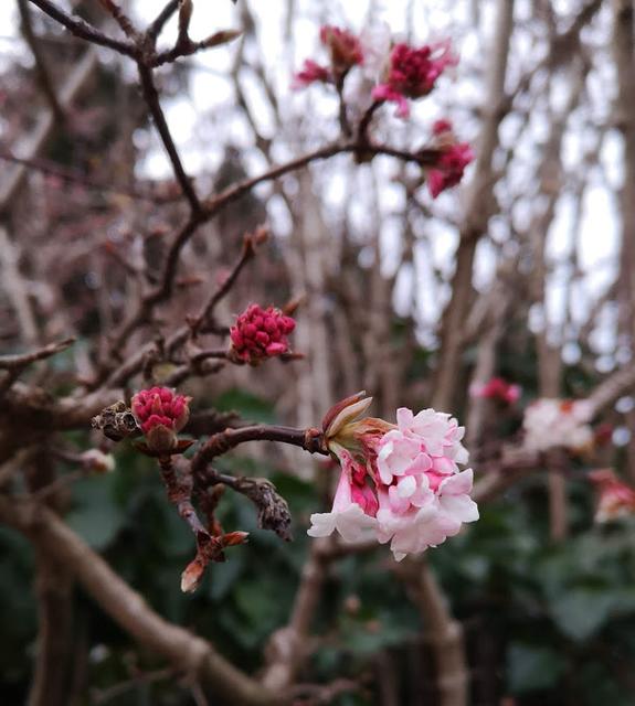 Natur