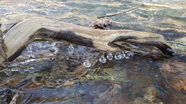 Im Arlingbach bei Neudau haben sich Eisperlen gebildet. | Foto: Johannes Kreuzer 