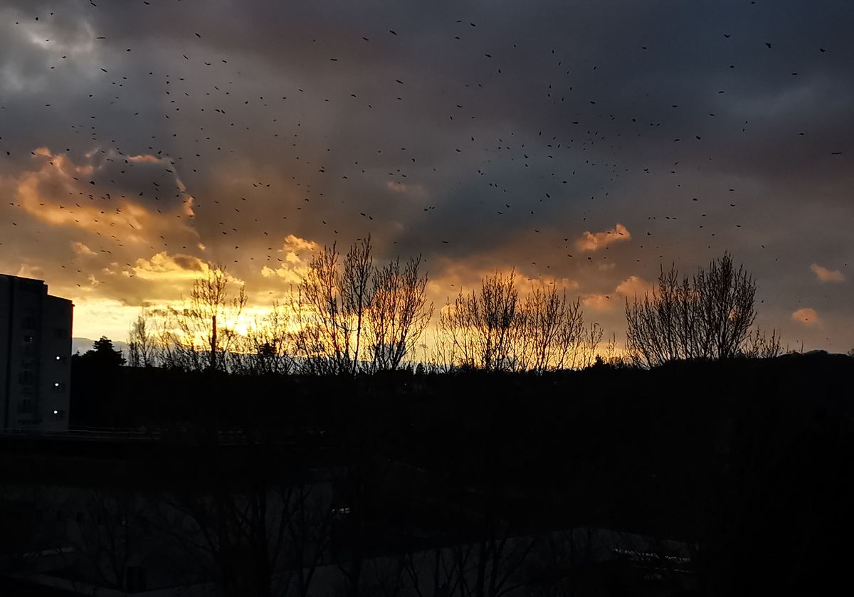 Sonnenuntergang Heute