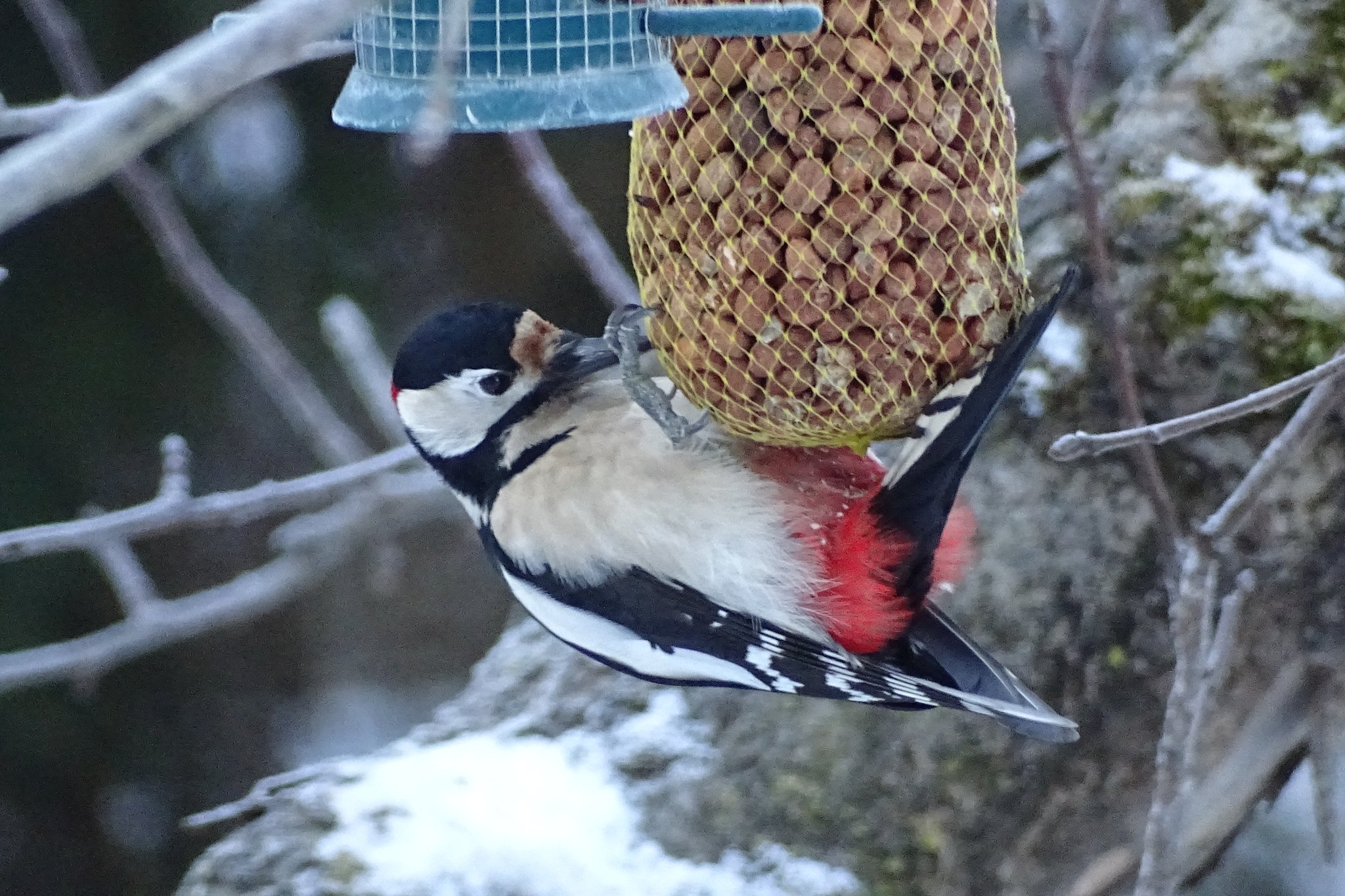 Wer die Wahl hat ,hat die Qual. Wer die Wahl hat ,hat die Qual.