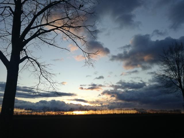 Sturm Sabina