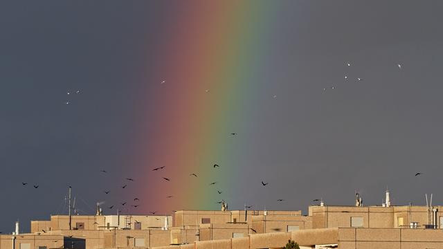 Regenbogen über dem Reisenbauerring