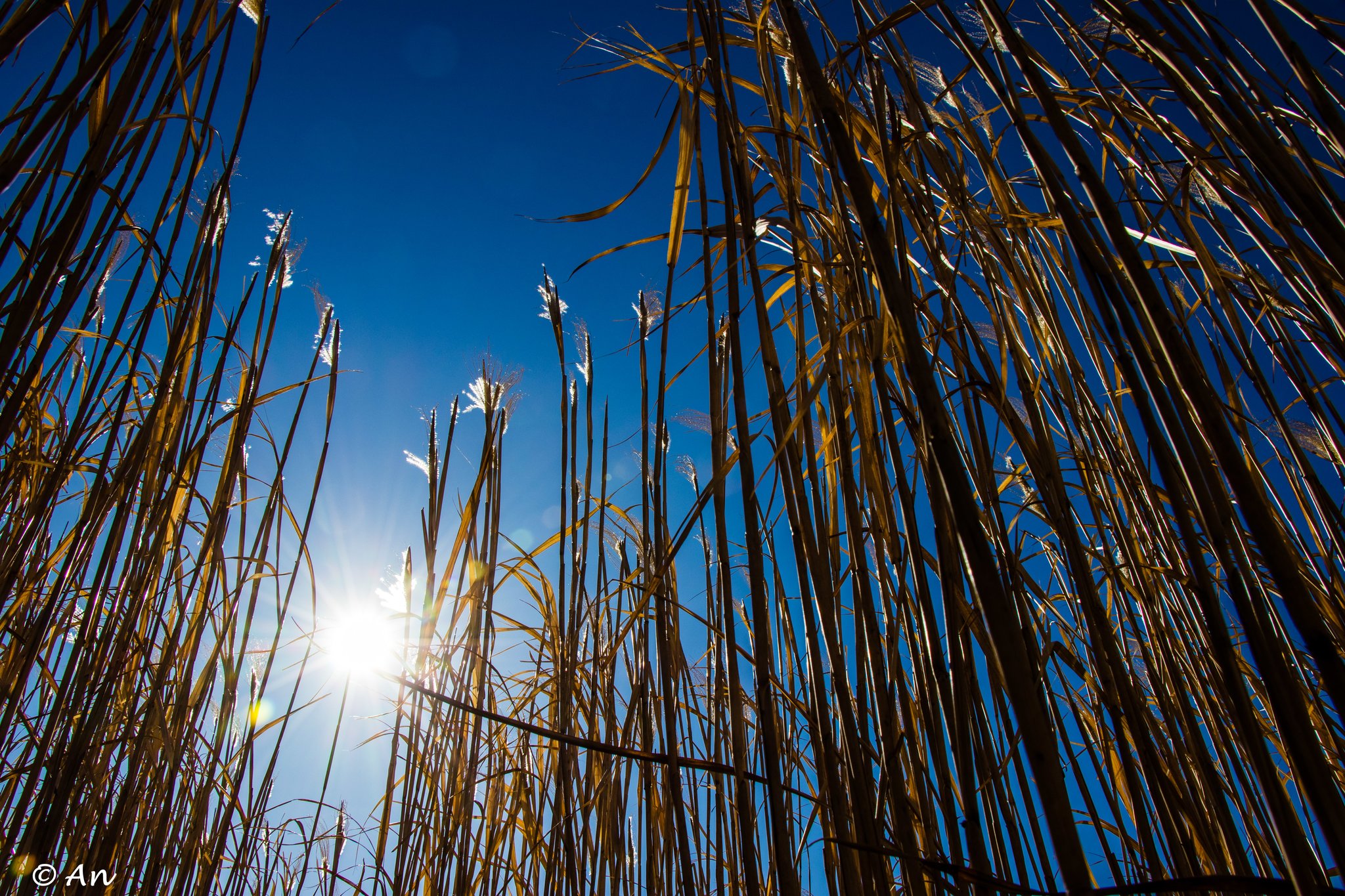 "Und immer wieder geht die Sonne auf"